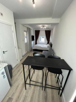 Large studio flat with garden, Kensington